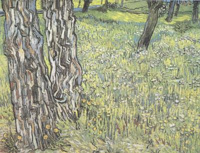 Vincent Van Gogh Pine Trees and Dandelions in the Garden of Saint-Paul Hospital (nn04)